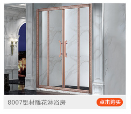 廠家定制批發(fā)酒店家居304不銹鋼 時(shí)尚屏風(fēng)雙活動(dòng)整體浴室淋浴房