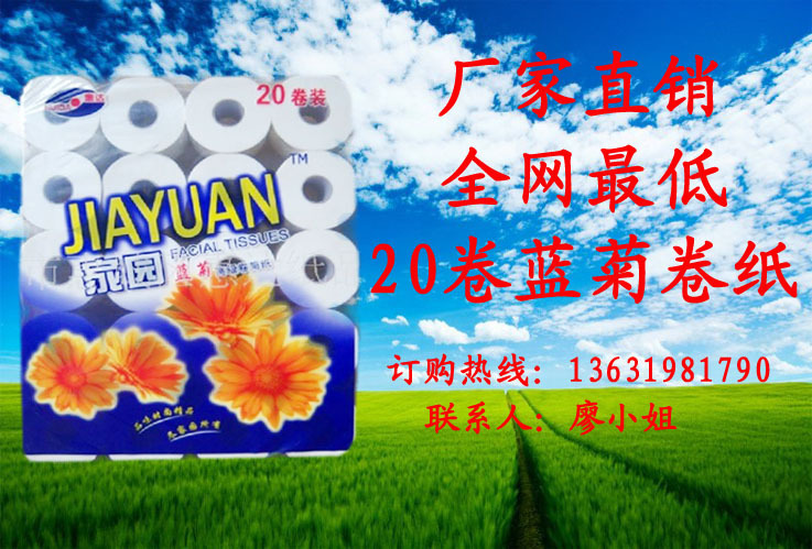 20卷藍(lán)菊