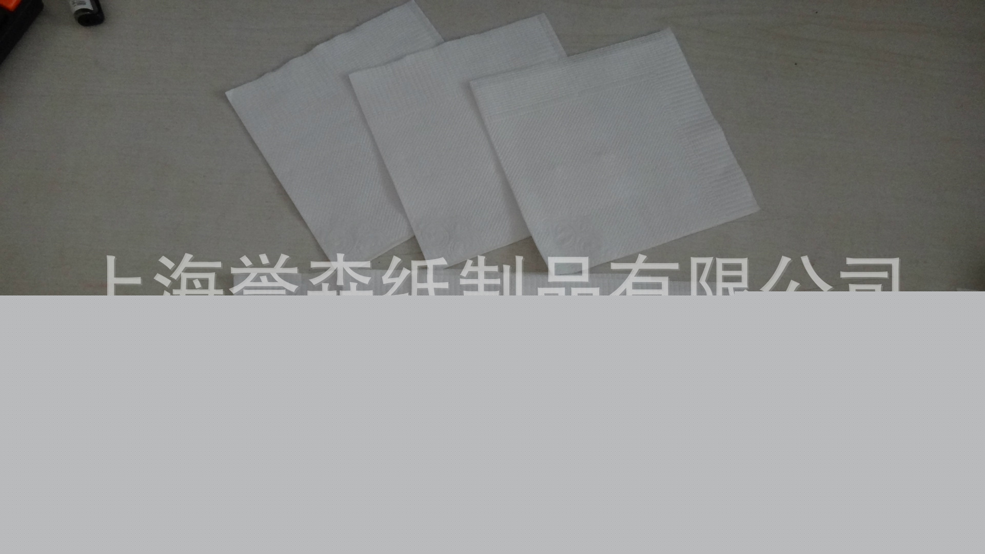 廠家專業(yè)制定餐巾紙 純木漿優(yōu)質紙巾 230*230雙層印花可印刷logo