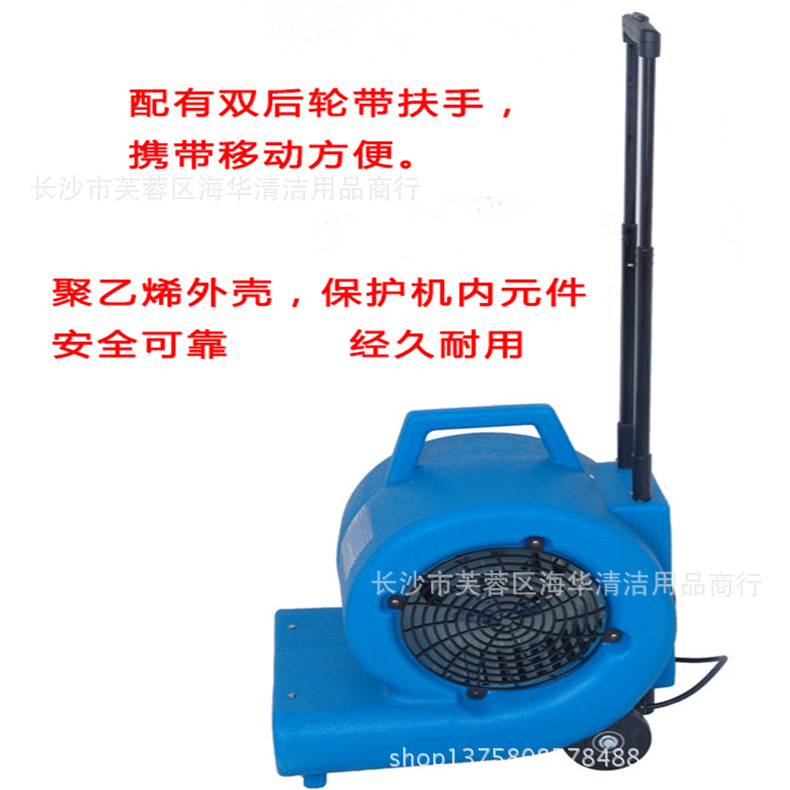 湘潤(rùn)直流鼓風(fēng)吹干機(jī) 地面吹風(fēng)吹干機(jī) 酒店大堂工廠地面強(qiáng)力吹風(fēng)機(jī)