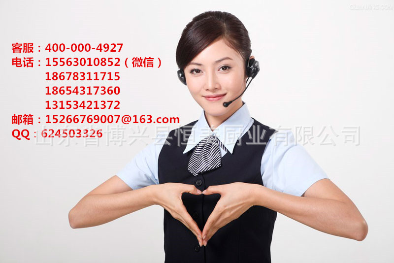 恒美 批發(fā) 廠家直銷 一件代發(fā) 油煙分離器 油煙凈化器 油煙凈化機