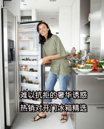 難以抗拒的奢華誘惑熱銷對(duì)開(kāi)門冰箱精選