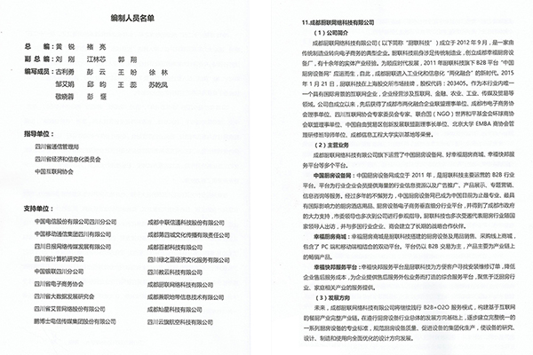 《四川省互聯(lián)網(wǎng)行業(yè)發(fā)展?fàn)顩r報告》摘要